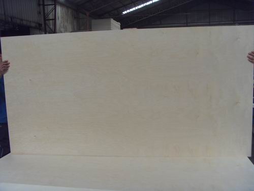 birch plywood